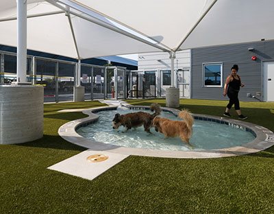 facility