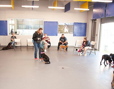 facility